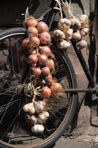 Onions & Garlic on Bike